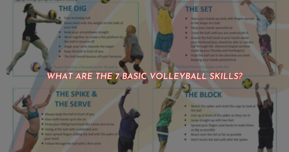 7 Basic Volleyball Skills You Need to Know