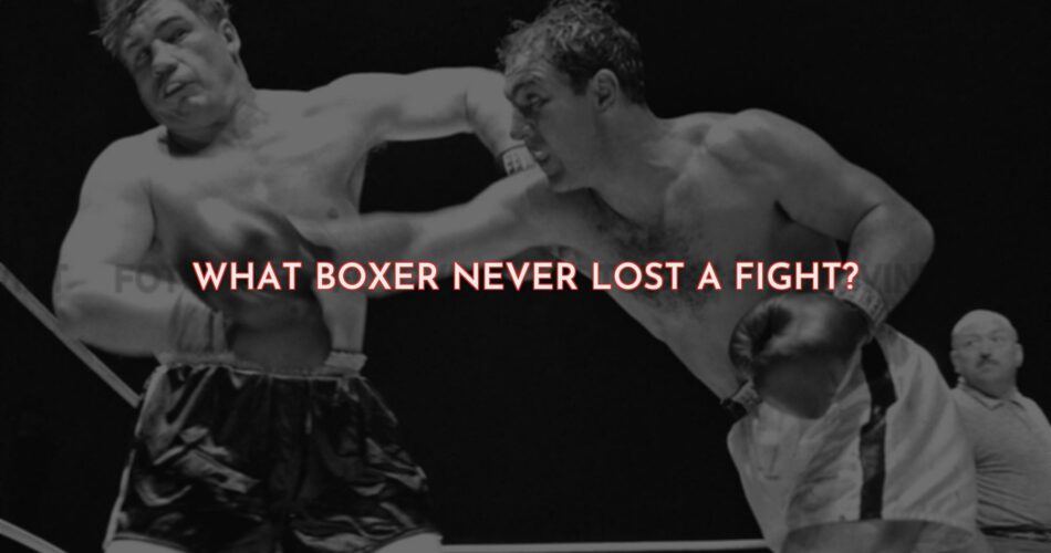 What Boxer Never Lost a Fight?