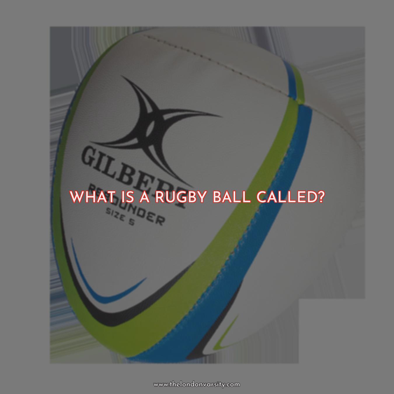 What Is A Rugby Player Called