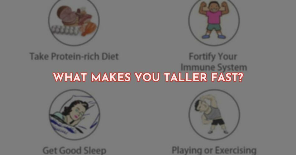 What Makes You Taller Fast?